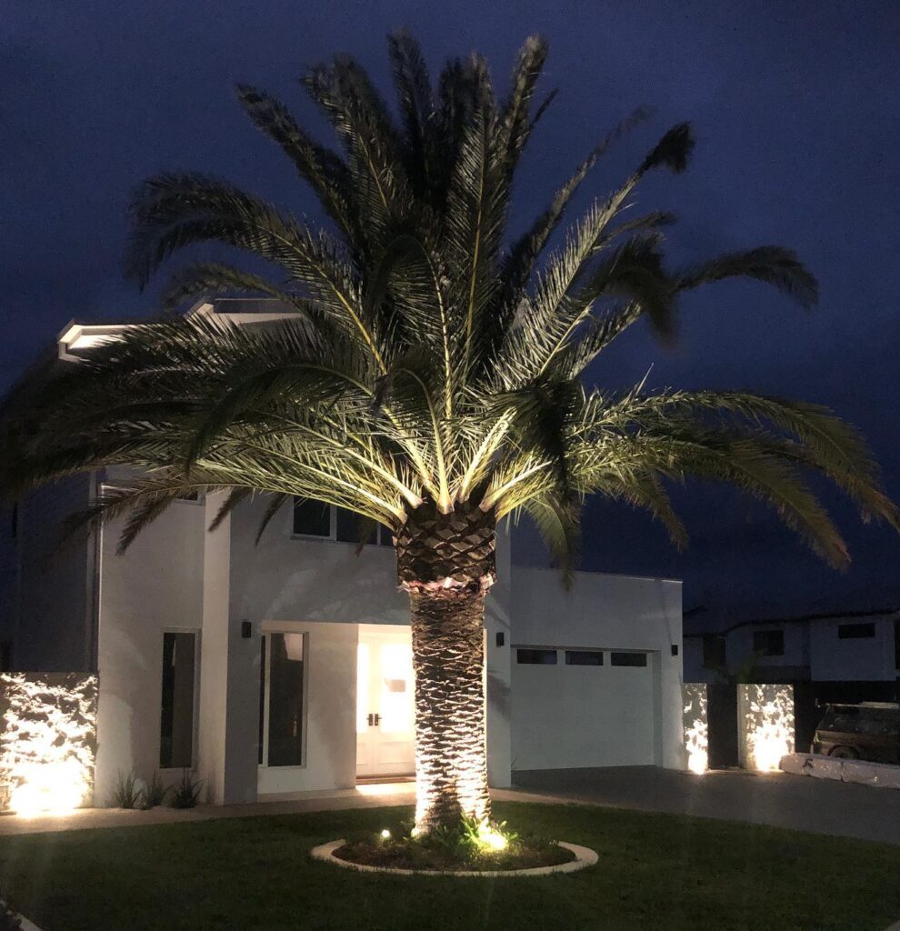 Home Outdoor lighting on palm tree electrician installed